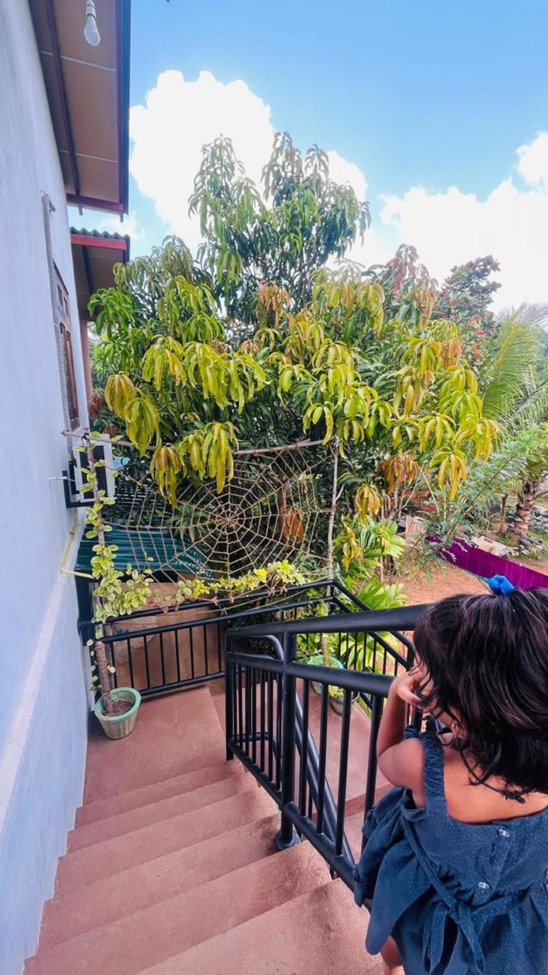 Dew Ashi Homestay Sigiriya Bagian luar foto