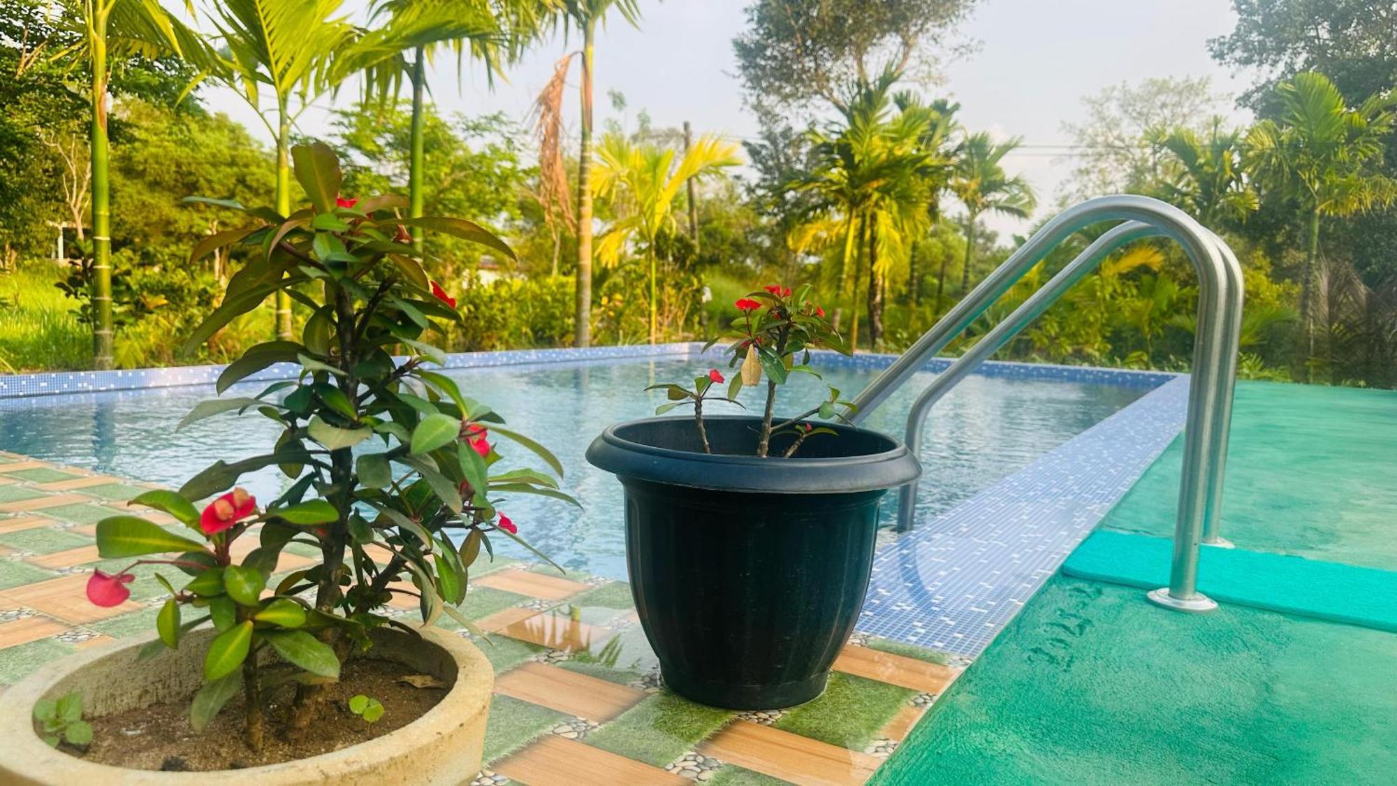 Dew Ashi Homestay Sigiriya Bagian luar foto